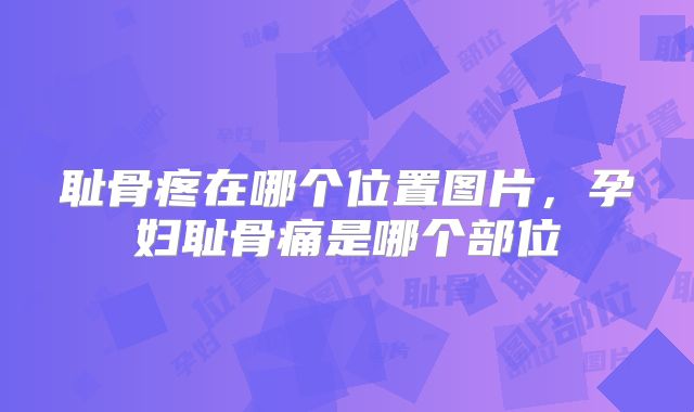 耻骨疼在哪个位置图片，孕妇耻骨痛是哪个部位