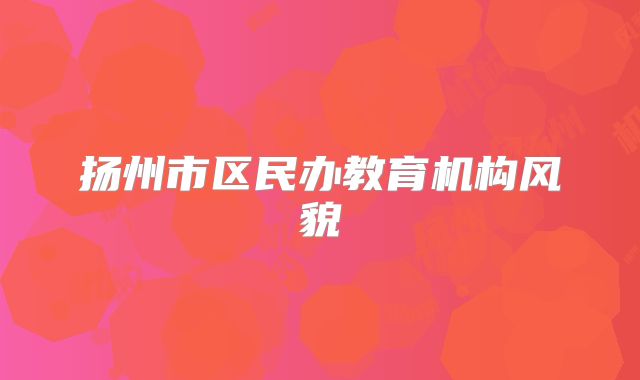 扬州市区民办教育机构风貌