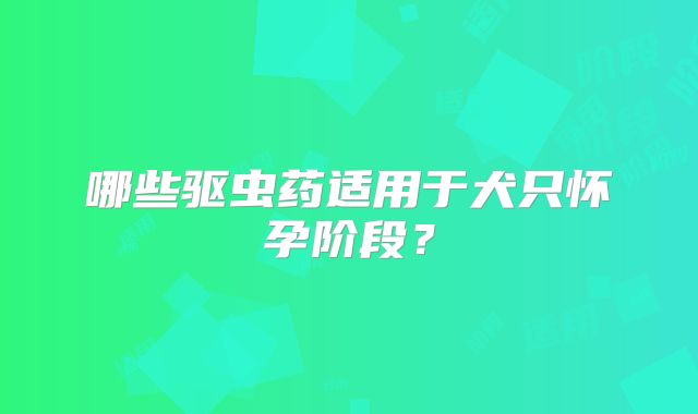 哪些驱虫药适用于犬只怀孕阶段？