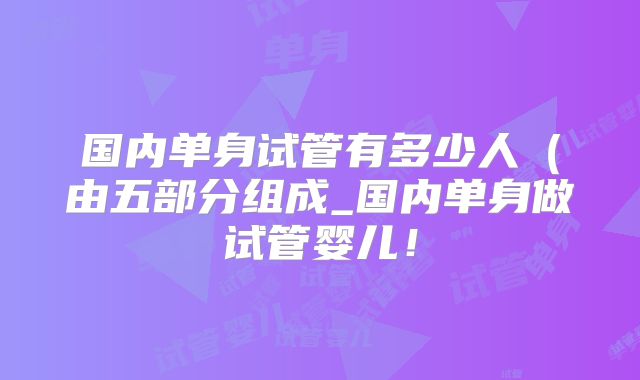 国内单身试管有多少人（由五部分组成_国内单身做试管婴儿！