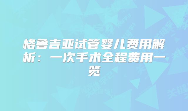格鲁吉亚试管婴儿费用解析：一次手术全程费用一览