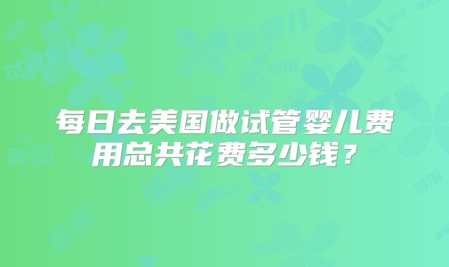 每日去美国做试管婴儿费用总共花费多少钱？