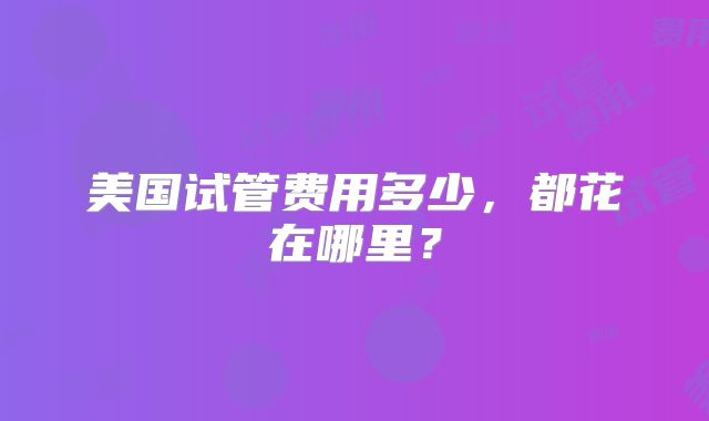 美国试管费用多少,都花在哪里?
