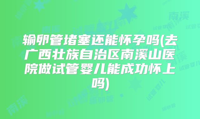 输卵管堵塞还能怀孕吗(去广西壮族自治区南溪山医院做试管婴儿能成功怀上吗)