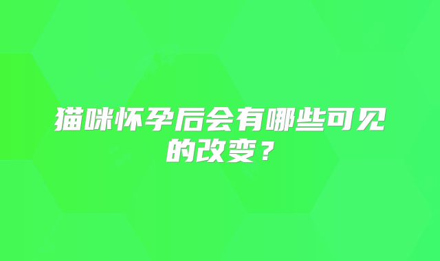 猫咪怀孕后会有哪些可见的改变？
