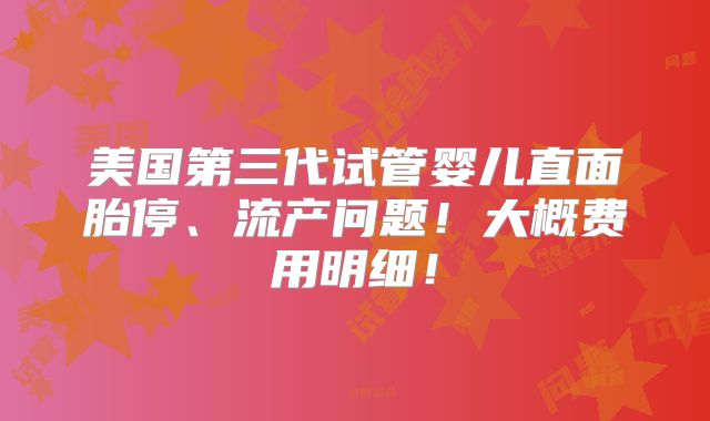 美国第三代试管婴儿直面胎停、流产问题！大概费用明细！