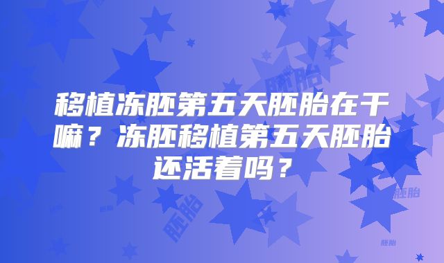 移植冻胚第五天胚胎在干嘛？冻胚移植第五天胚胎还活着吗？