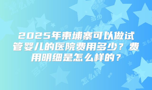 2025年柬埔寨可以做试管婴儿的医院费用多少?费用明细是怎么样的?