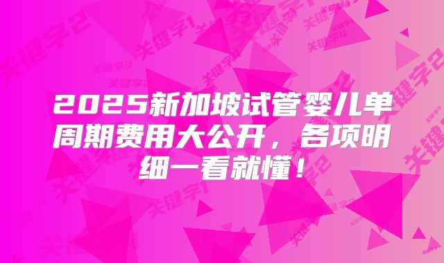 2025新加坡试管婴儿单周期费用大公开，各项明细一看就懂！