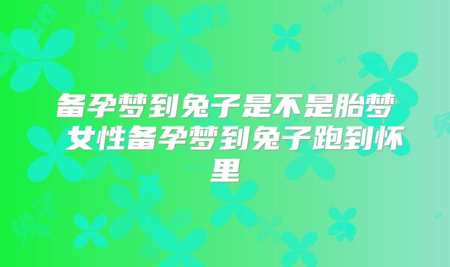 备孕梦到兔子是不是胎梦 女性备孕梦到兔子跑到怀里