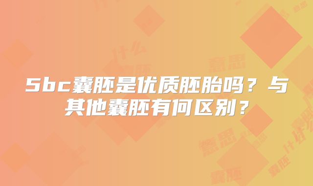 5bc囊胚是优质胚胎吗？与其他囊胚有何区别？