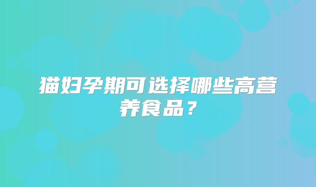 猫妇孕期可选择哪些高营养食品?