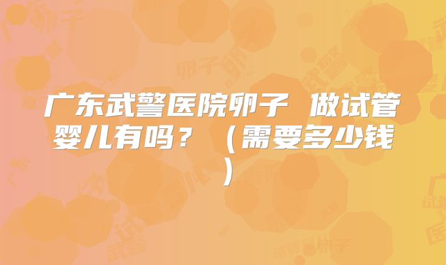 广东武警医院卵子 做试管婴儿有吗？（需要多少钱）