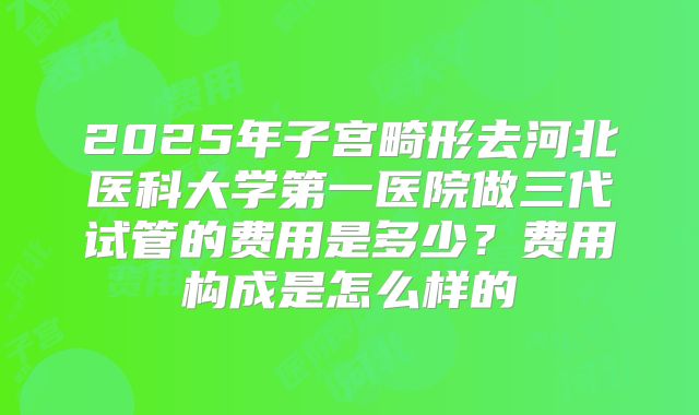 2025年子宫畸形去河北医科大学第一医院做三代试管的费用是多少？费用构成是怎么样的