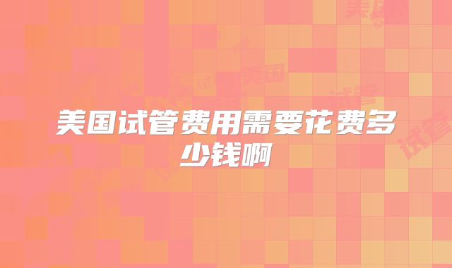 美国试管费用需要花费多少钱啊