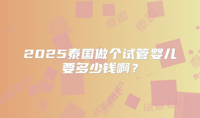 2025泰国做个试管婴儿要多少钱啊？