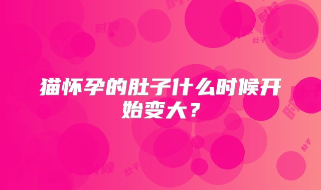 猫怀孕的肚子什么时候开始变大？