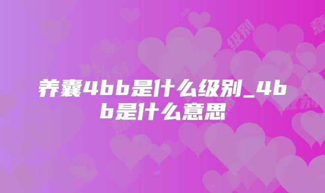 养囊4bb是什么级别_4bb是什么意思