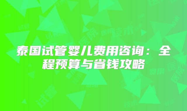 泰国试管婴儿费用咨询：全程预算与省钱攻略