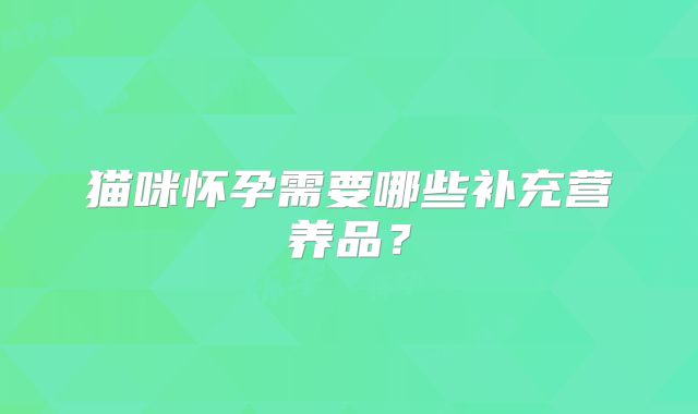 猫咪怀孕需要哪些补充营养品？