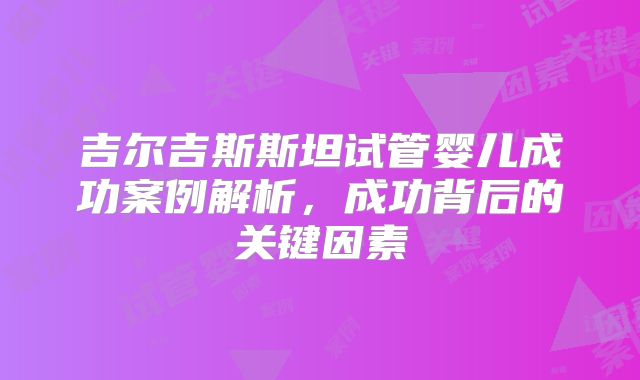 吉尔吉斯斯坦试管婴儿成功案例解析，成功背后的关键因素