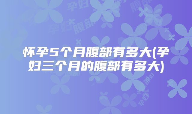 怀孕5个月腹部有多大(孕妇三个月的腹部有多大)