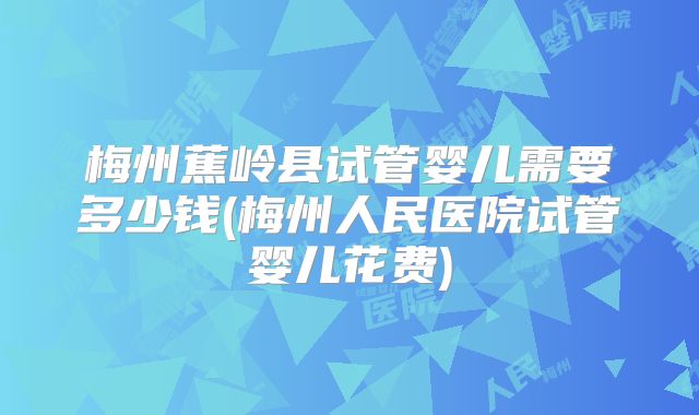 梅州蕉岭县试管婴儿需要多少钱(梅州人民医院试管婴儿花费)