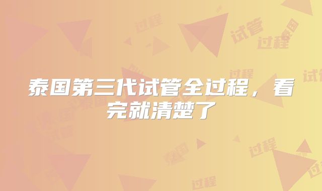 泰国第三代试管全过程，看完就清楚了