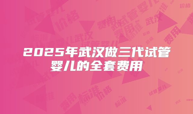 2025年武汉做三代试管婴儿的全套费用
