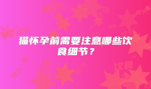 猫怀孕前需要注意哪些饮食细节？