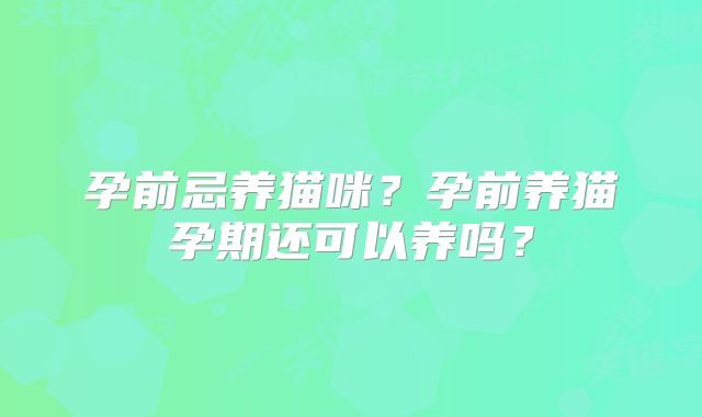 孕前忌养猫咪？孕前养猫孕期还可以养吗？