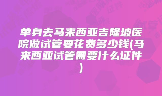 单身去马来西亚吉隆坡医院做试管要花费多少钱(马来西亚试管需要什么证件)