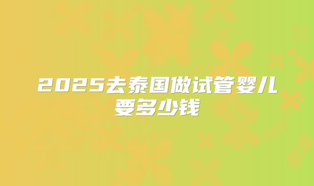 2025去泰国做试管婴儿要多少钱