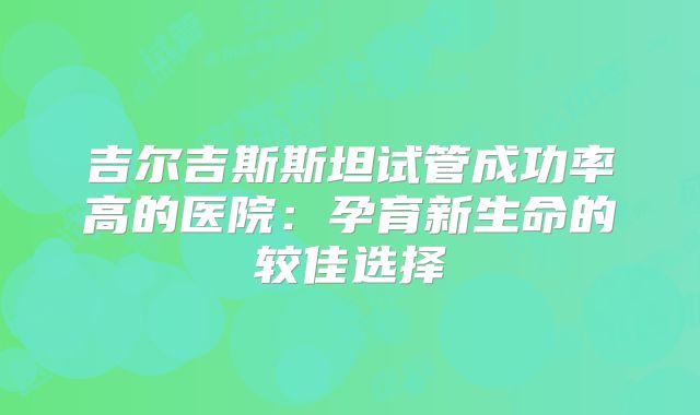 吉尔吉斯斯坦试管成功率高的医院：孕育新生命的较佳选择