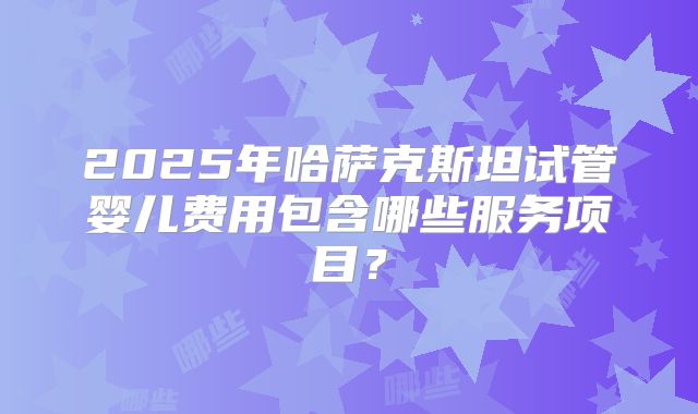 2025年哈萨克斯坦试管婴儿费用包含哪些服务项目？