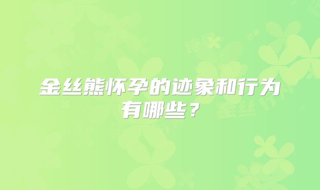 金丝熊怀孕的迹象和行为有哪些？