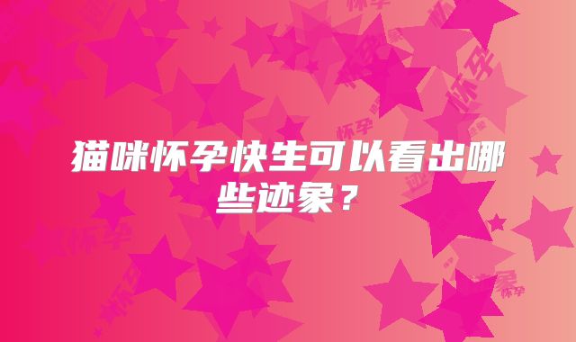 猫咪怀孕快生可以看出哪些迹象？