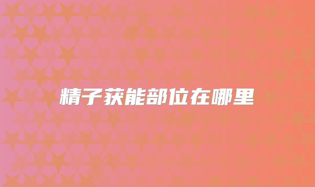 精子获能部位在哪里