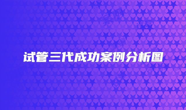 试管三代成功案例分析图