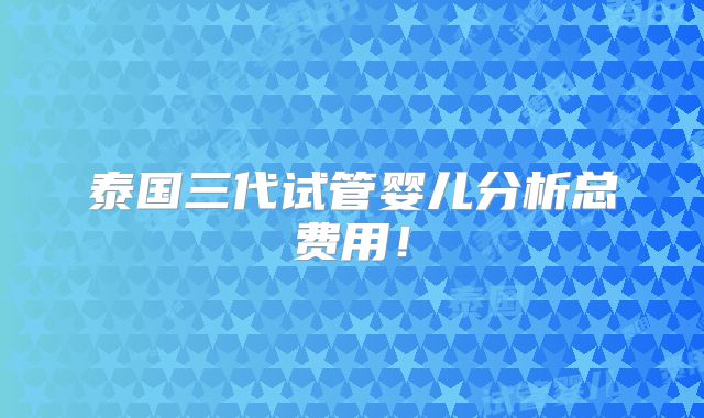 泰国三代试管婴儿分析总费用！