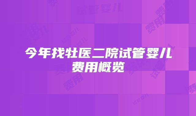 今年找牡医二院试管婴儿费用概览
