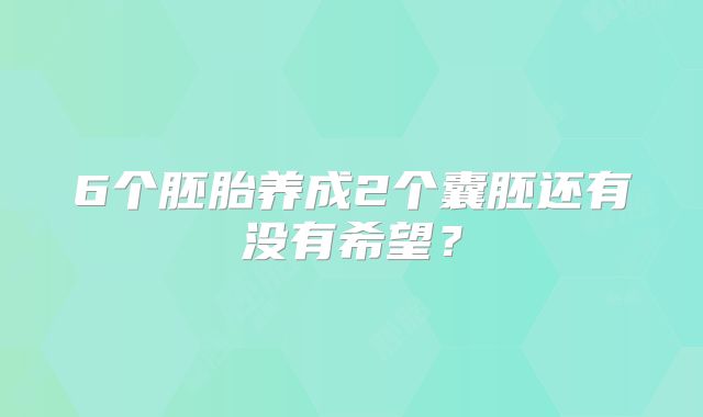 6个胚胎养成2个囊胚还有没有希望？