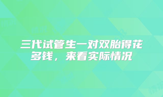 三代试管生一对双胎得花多钱，来看实际情况