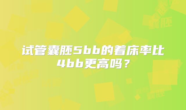 试管囊胚5bb的着床率比4bb更高吗？