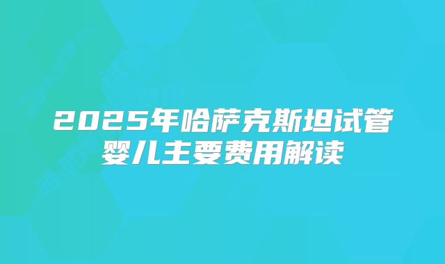 2025年哈萨克斯坦试管婴儿主要费用解读