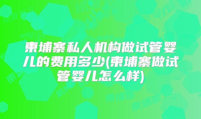 柬埔寨私人机构做试管婴儿的费用多少(柬埔寨做试管婴儿怎么样)
