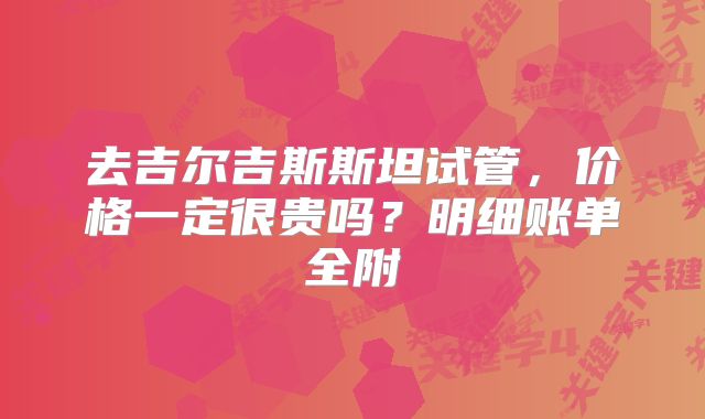 去吉尔吉斯斯坦试管,价格一定很贵吗?明细账单全附