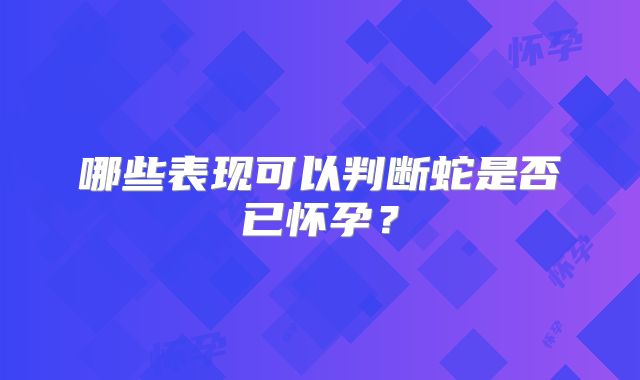 哪些表现可以判断蛇是否已怀孕?