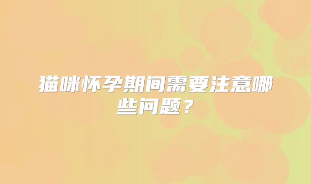 猫咪怀孕期间需要注意哪些问题？