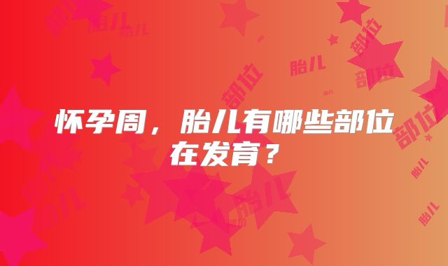 怀孕周，胎儿有哪些部位在发育？